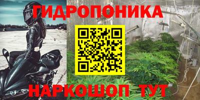 стафф Краснокаменск