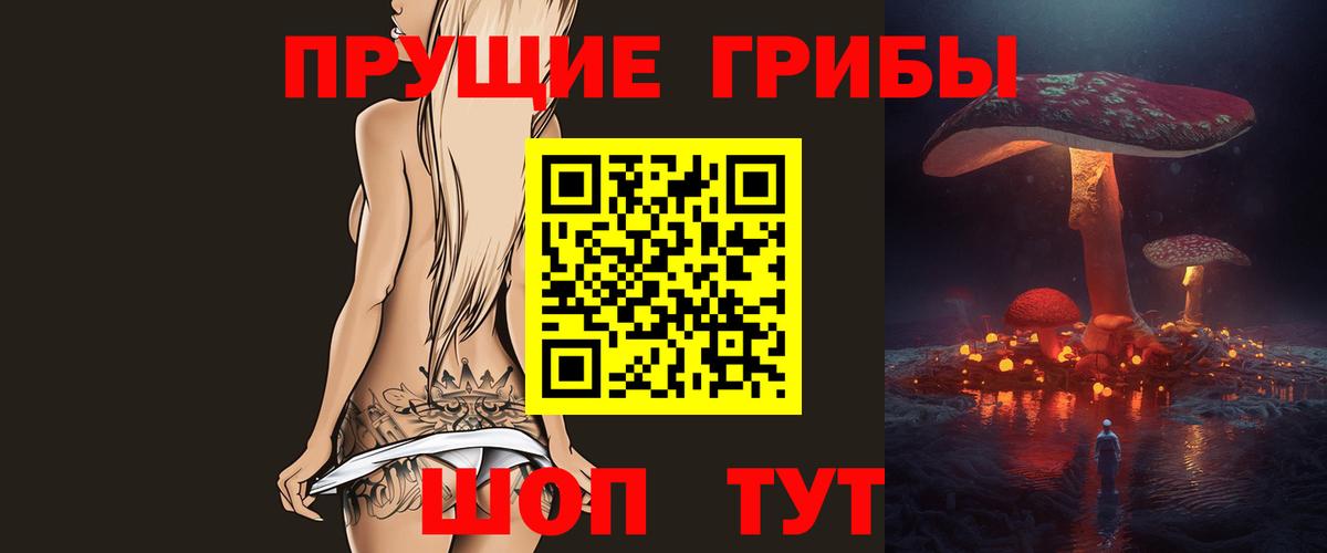 Галлюциногенные грибы Psilocybine cubensis Красногорск